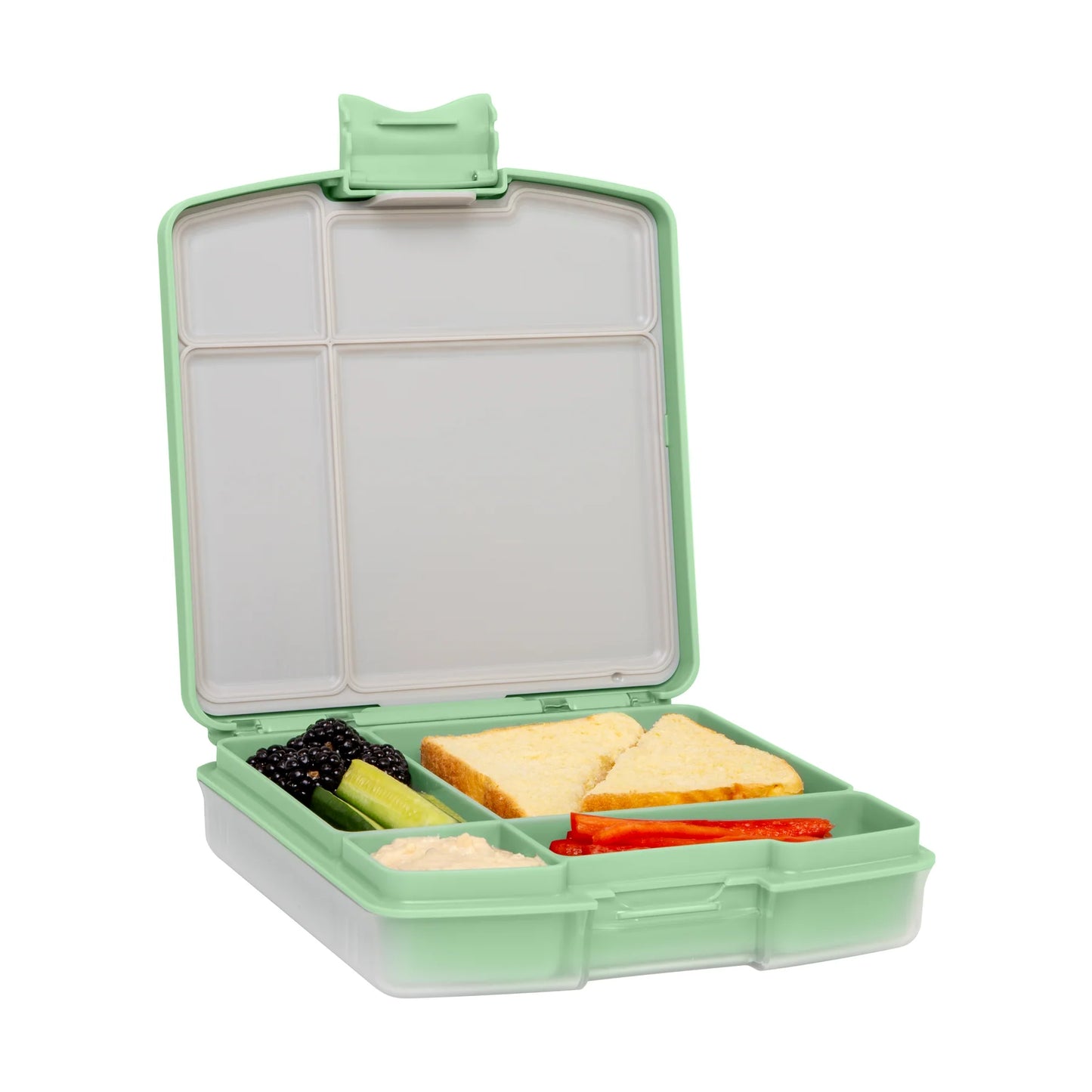 Tupper UBBI con 4 apartados