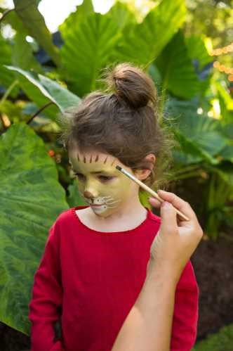 Kit Maquillatge Ecològic Lleó i Girafa - Joc Creatiu Natural