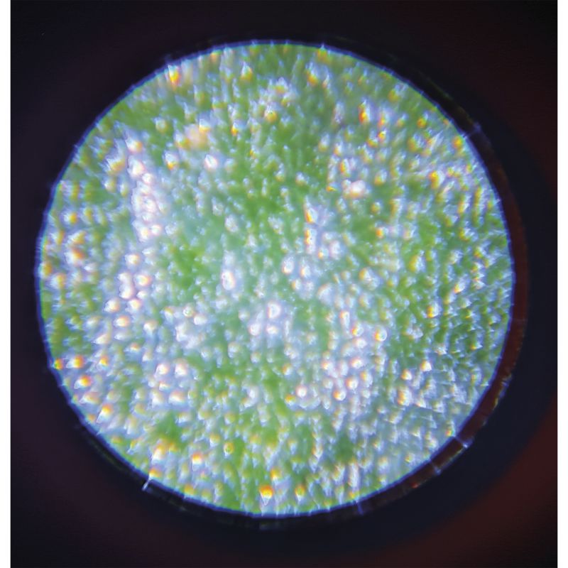HAPPY GARDEN - MICROSCOPIO