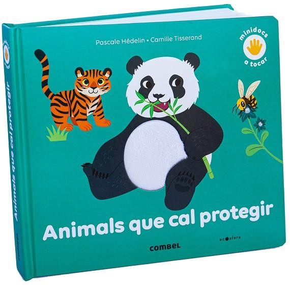 Conte Deu al Llit - Llibre Infantil per Dormir i Comptar