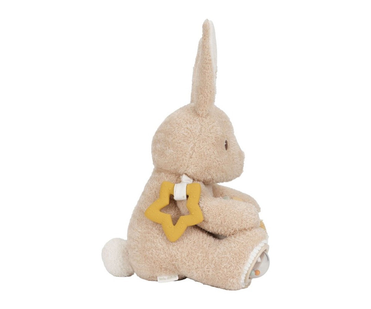 CONEJO DE ACTIVIDADES