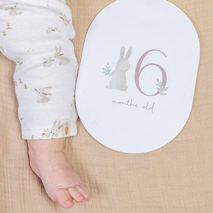 Baby Bunny - Milestone Cards