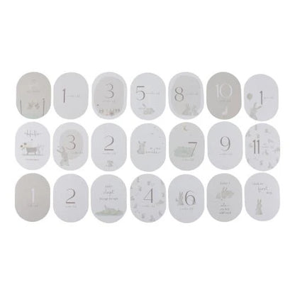 Baby Bunny - Milestone Cards