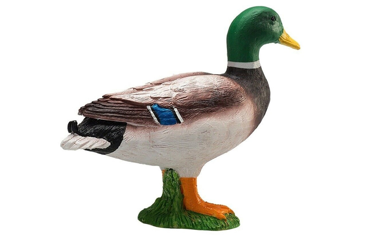 Pato real