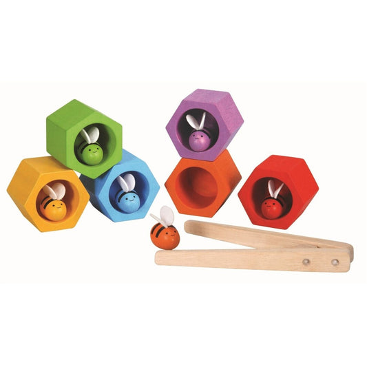 JOC DE COLORS D'OCELL FUSTER I ERUGUES