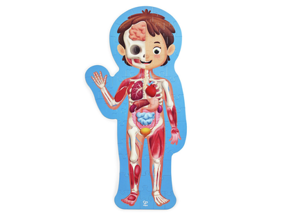 Puzle Cuerpo Humano