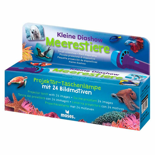 Diapositivas marinas