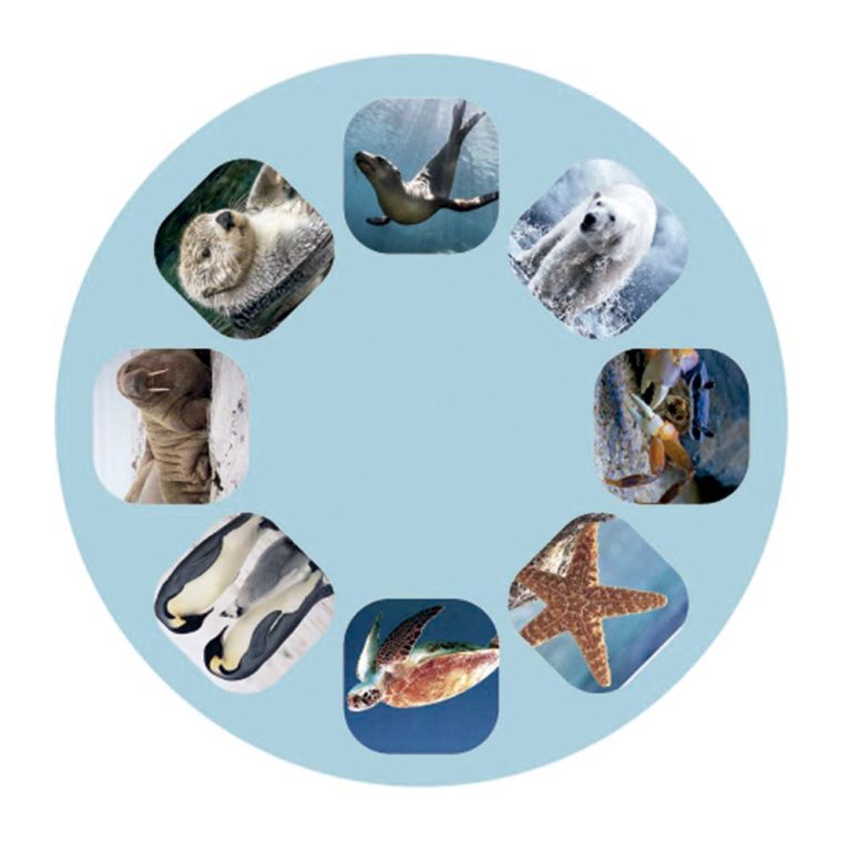 LINTERNA PROYECTOR MARINA