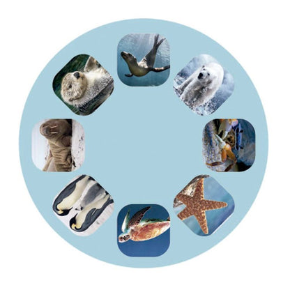 LINTERNA PROYECTOR MARINA