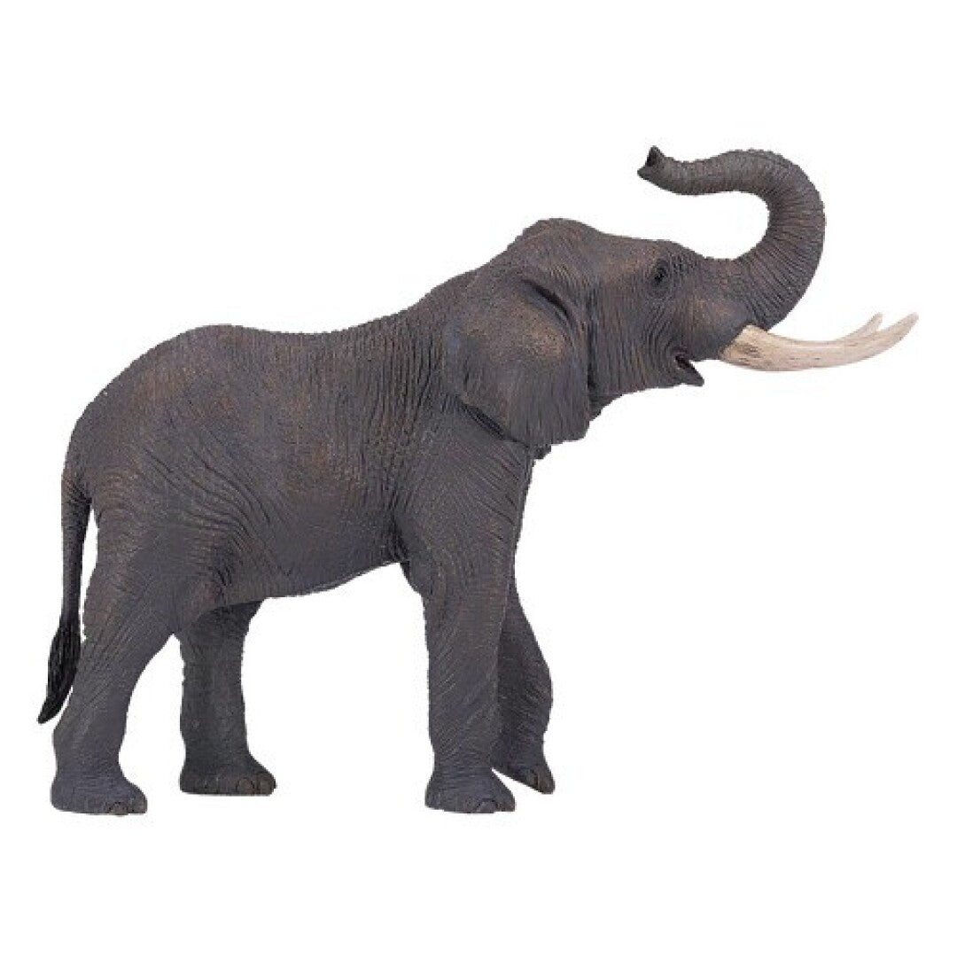 Elefante africano trompa