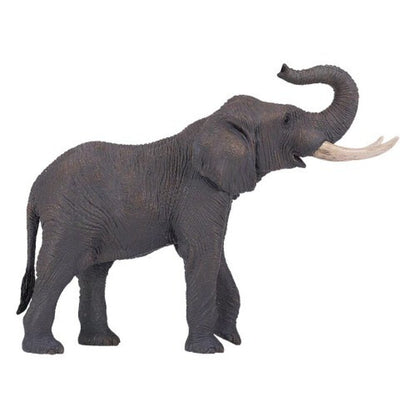 Elefante africano trompa