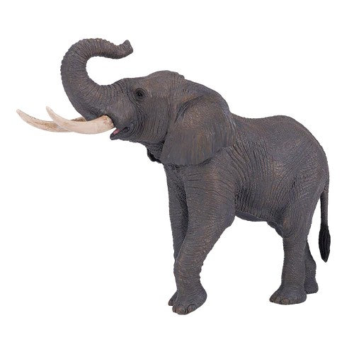 Elefante africano trompa