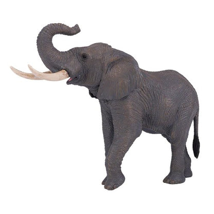 Elefante africano trompa