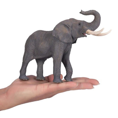 Elefante africano trompa