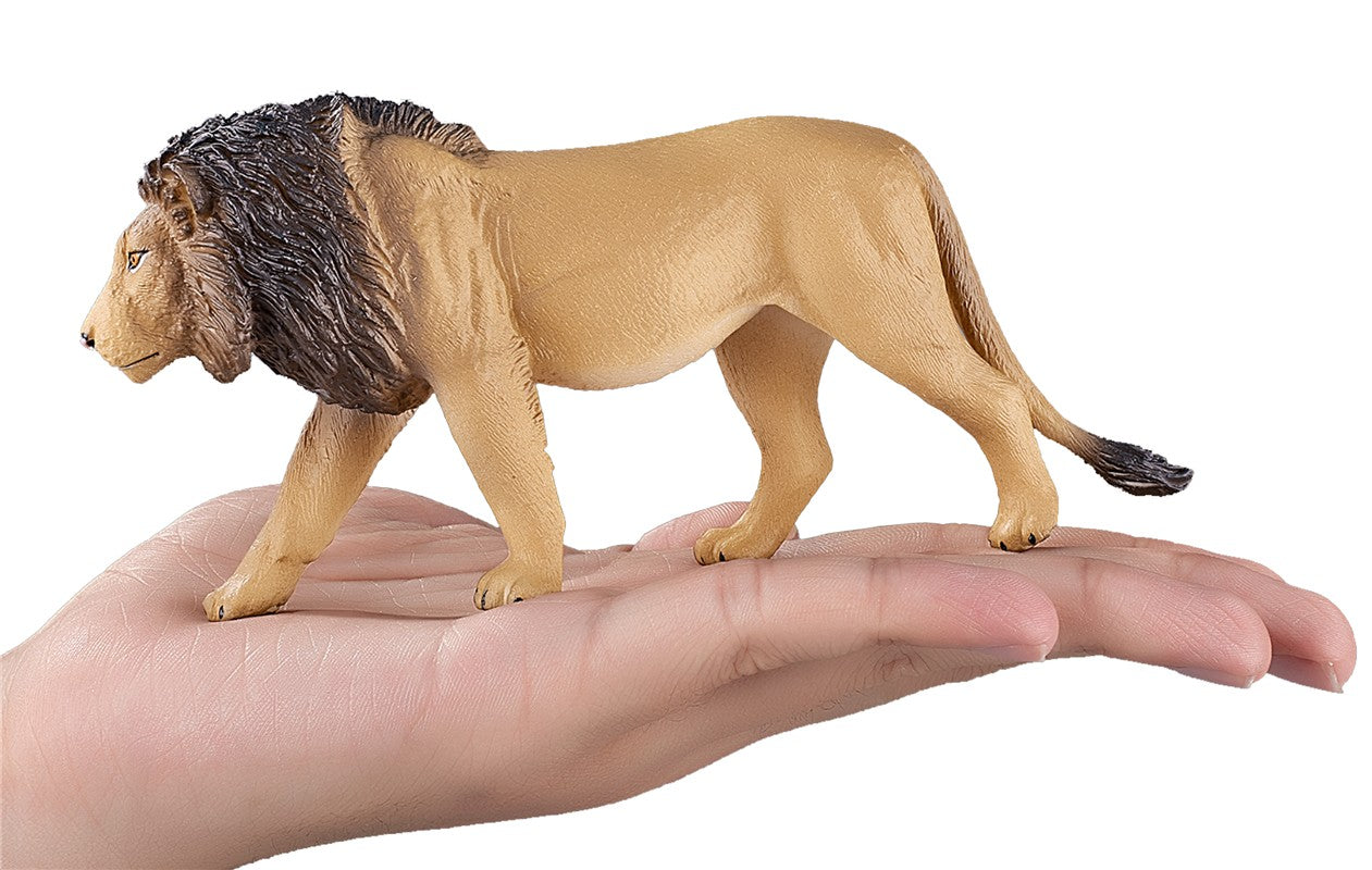 León macho