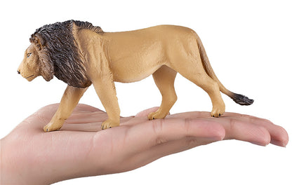 León macho