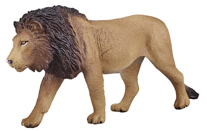León macho