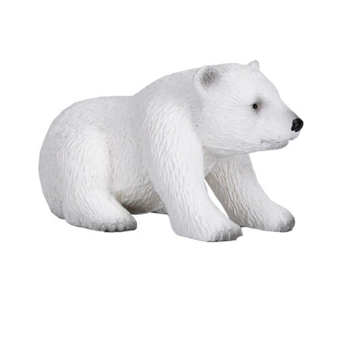 Oso polar bebé sentado