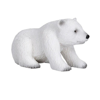 Oso polar bebé sentado