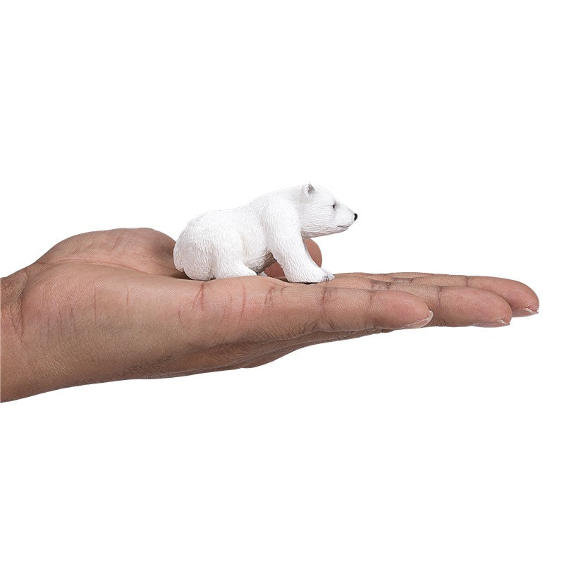 Oso polar bebé sentado