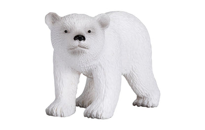 Oso polar bebé