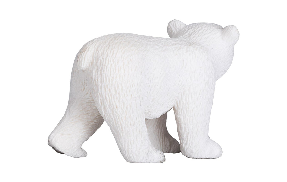 Oso polar bebé