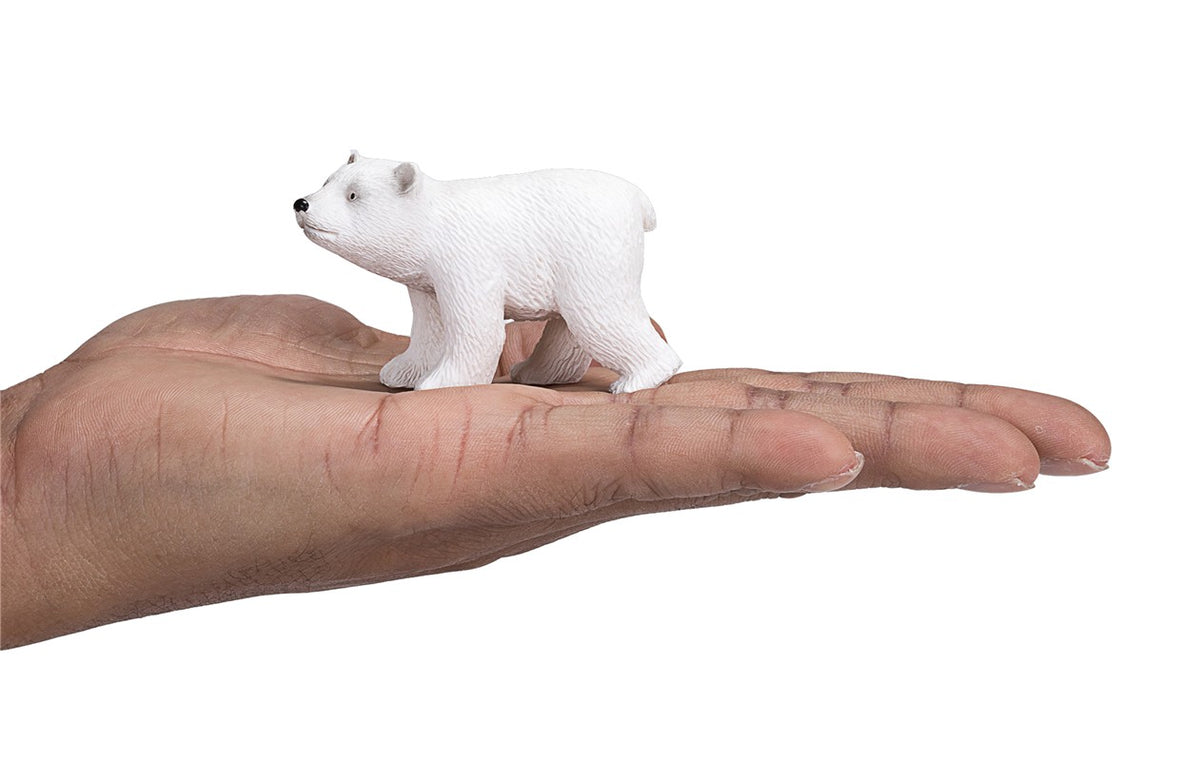 Oso polar bebé