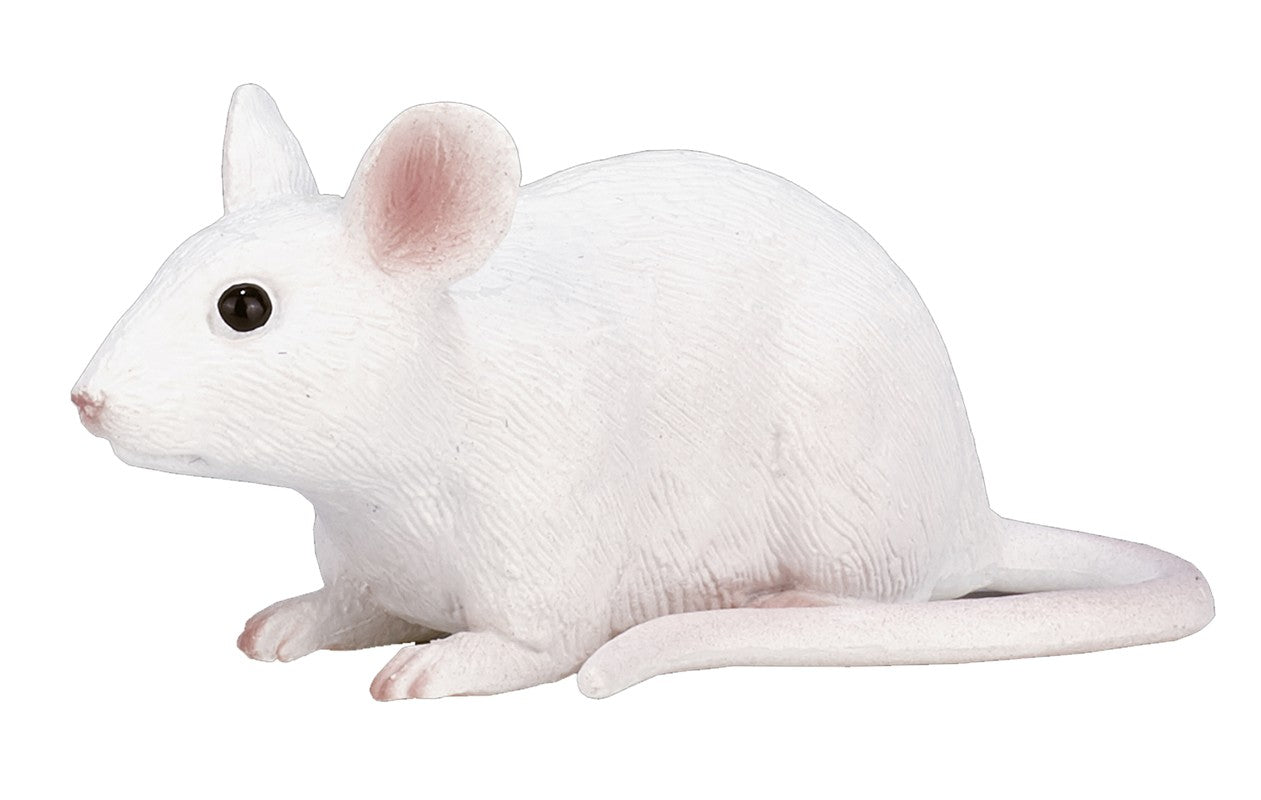 Ratón