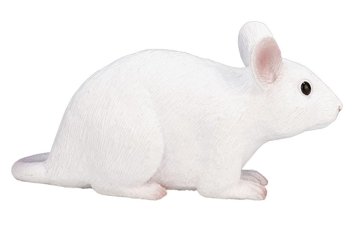 Ratón