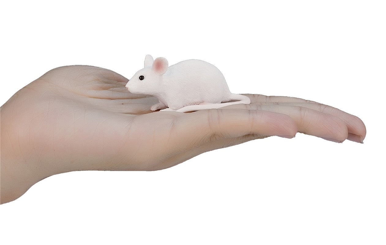 Ratón