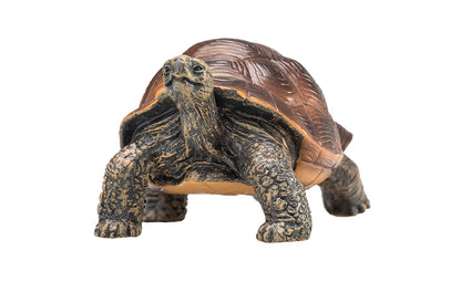 Tortuga gigantes