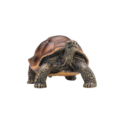 Tortuga gigantes